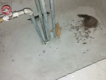 昆明市卫生间测漏水价格明细